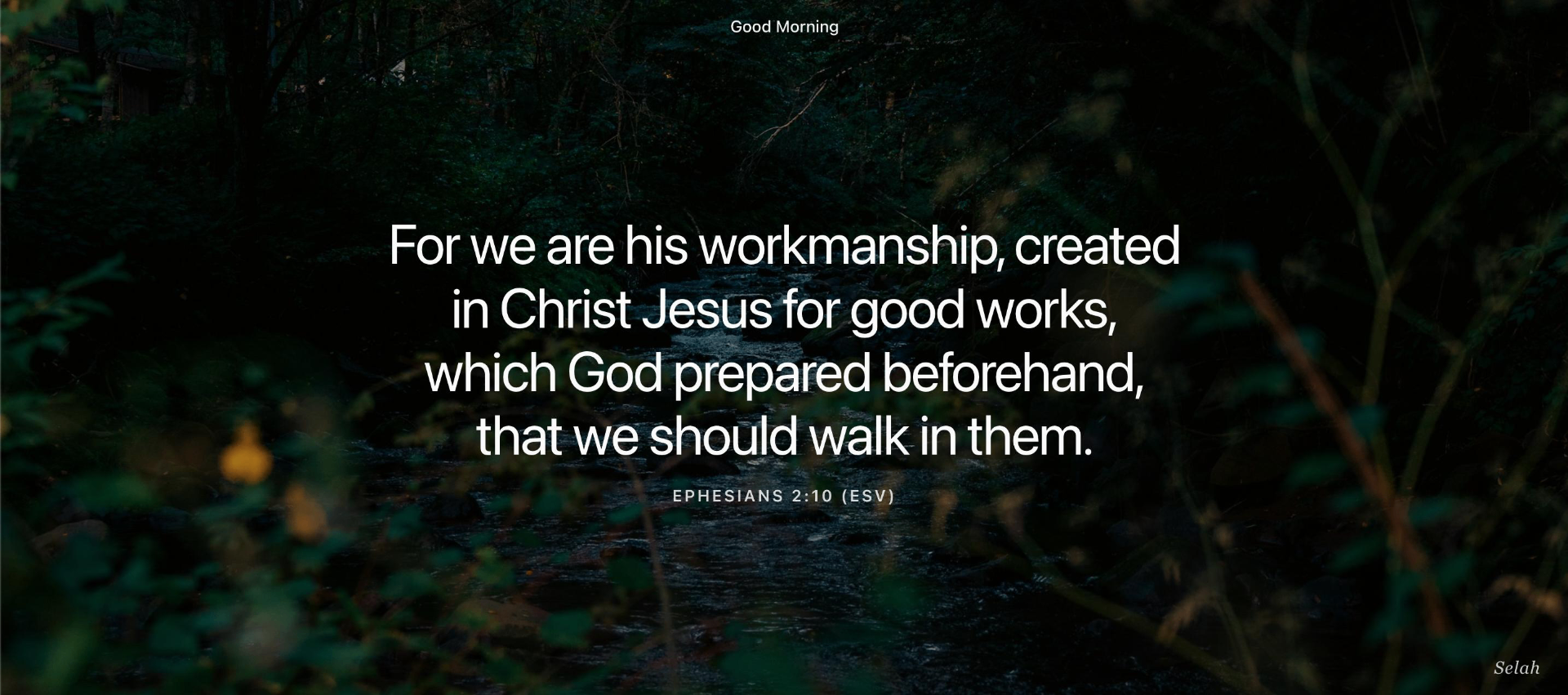 Selah new tab showing a dark forest stream with a verse from Ephesians